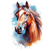 Conception du cheval Aqaurell