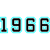 1966 Year Birthday