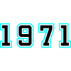 1971 Year Birthday