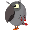 Angry Grey Parrot