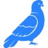 dove