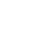 Social 1993
