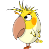 Angry Calopsitta