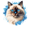 Birman Cat Birma Katze