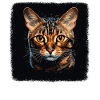 Bengal Cat Bengalkatze
