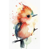 Colibri