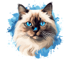 Birman Cat Birma Katze