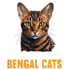 Bengal Cat Bengalkatze