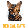 Bengal Cat Bengalkatze