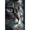 Katze