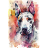 Bullterrier