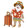 cat traveling mood