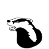 Honey Badgers Honey Badger