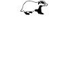 Honey Badger Joke Honey Badgers