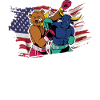 Boxe États-Unis