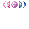 Bisexual phase