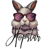 Hopstar – Cool bunny with sunglasses