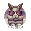 Stay cool – bunny with sunglasses