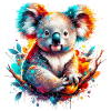 Koala