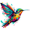 Colibri
