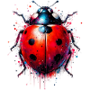 Ladybird