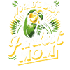 Parakeet, Budgerigar, Bird, Animal