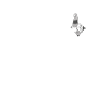 Dove, Dove, Animal, Bird