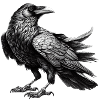 Schwarzweiß Raben Illustration