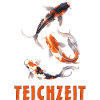 Koi Carp Pond Time