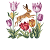 Ostara Eostre Equinox Witch Pagan Goddess Rituals