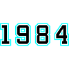 1984 Year Birthday