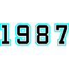 1987 Year Birthday