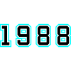 1988 Year Birthday