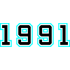 1991 Year Birthday