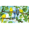Budgies on a tree - pastel chalk