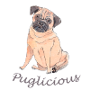 Puglicious