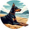 Dobermann am Strand