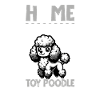 Home - Toy Poodle