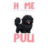 Home - Puli