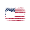 Country