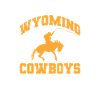 Cowboy Cowboy Boots Western Gift