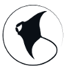 Raie Manta