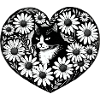 Tuxedo Cat Daisy