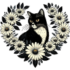 Tuxedo Cat Daisy