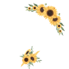 Die Sonnenblume Blumenbraut - Braut Geschenkidee