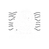 Gefährdete Tierarten Kakapo Tierrechtsaktivist