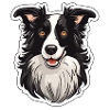 Australian Shepherd Black Bi W