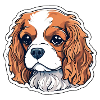 Cavalier King Charles Spaniel Cockerspaniel