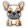 French Bulldog Bully - Boston Terrier