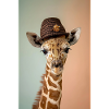 Girafe